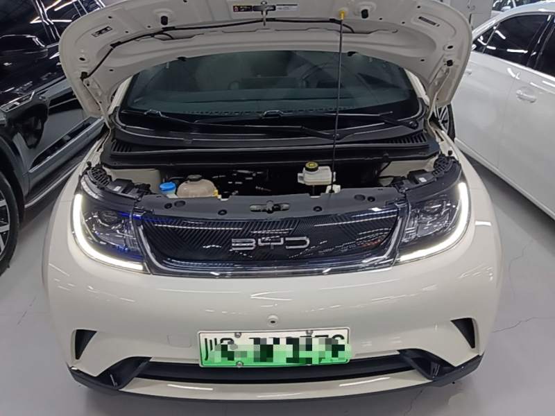 Used BYD Dolphin 2023 420 km Free Version — 19