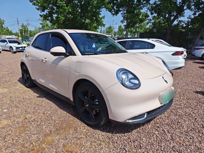 Used ORA Good Cat 2024 401 km Luxury Version — 3