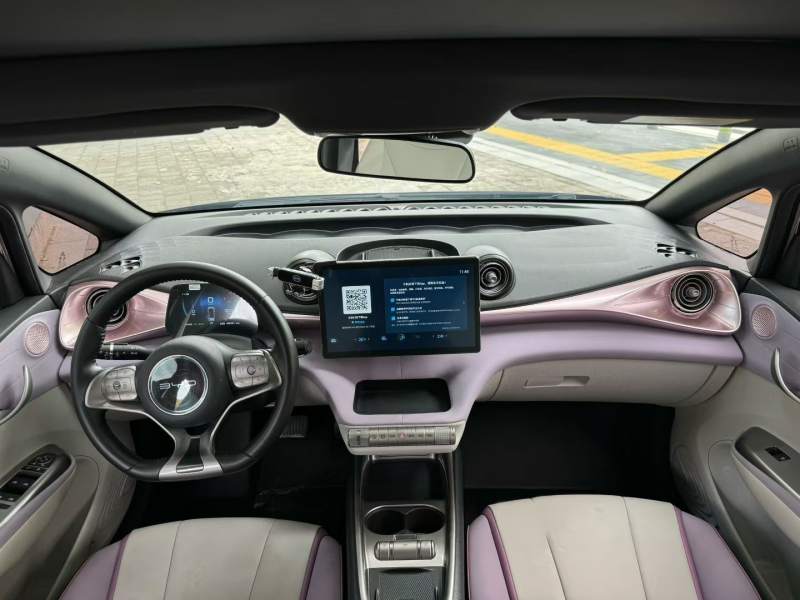 Used BYD Dolphin 2021 401km Knight Edition — 35