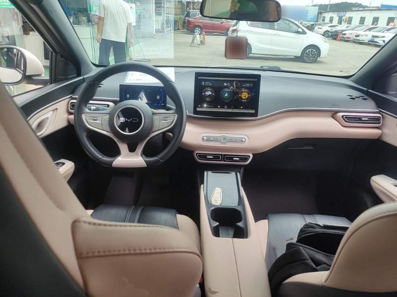 Used BYD Seagull 2025 Model Smart Drive Version 405km Free-Spirited Version — 9