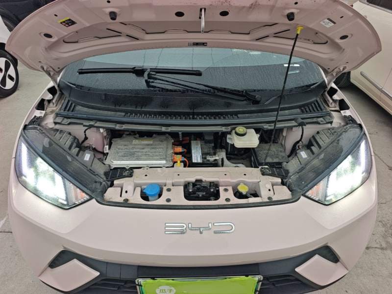 Used BYD Seagull 2023 Active Version — 19