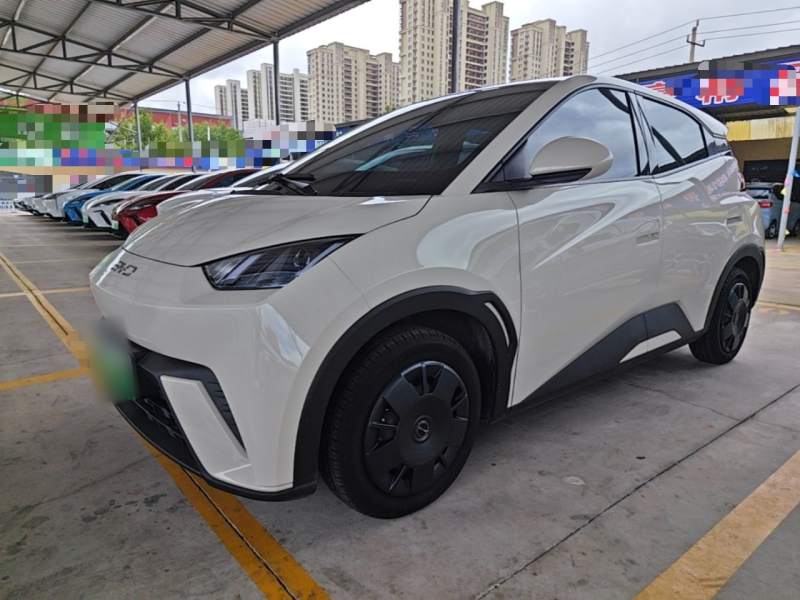 Used BYD Seagull 2025 305km Active Version