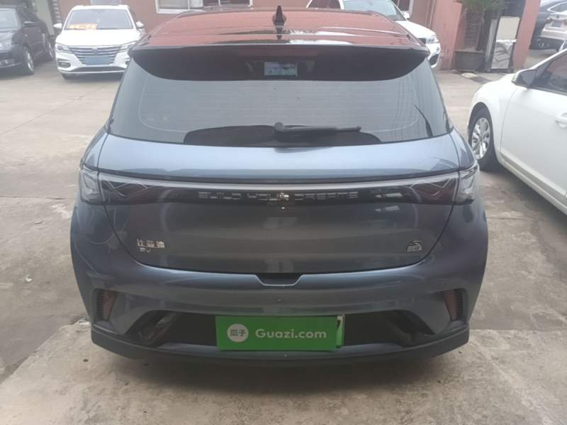 Used BYD Dolphin 2023 401km Knight Edition — 5