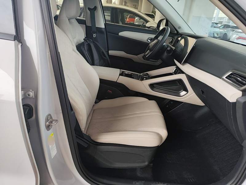 Used BYD Yuan UP 2024 401KM Leading Edition — 24