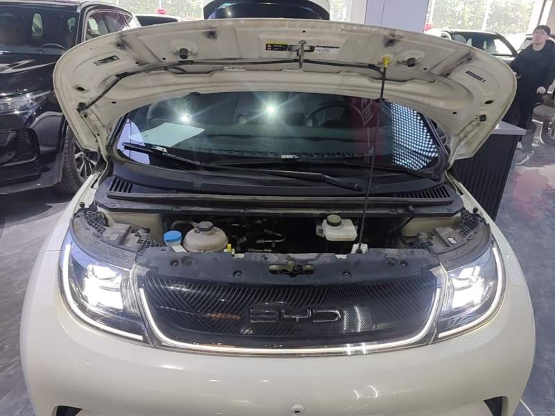 Used BYD Dolphin 2023 420 km Free Version — 19