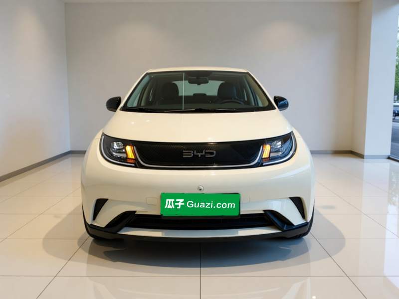 Used BYD Dolphin 2025 420km Free Edition — 2