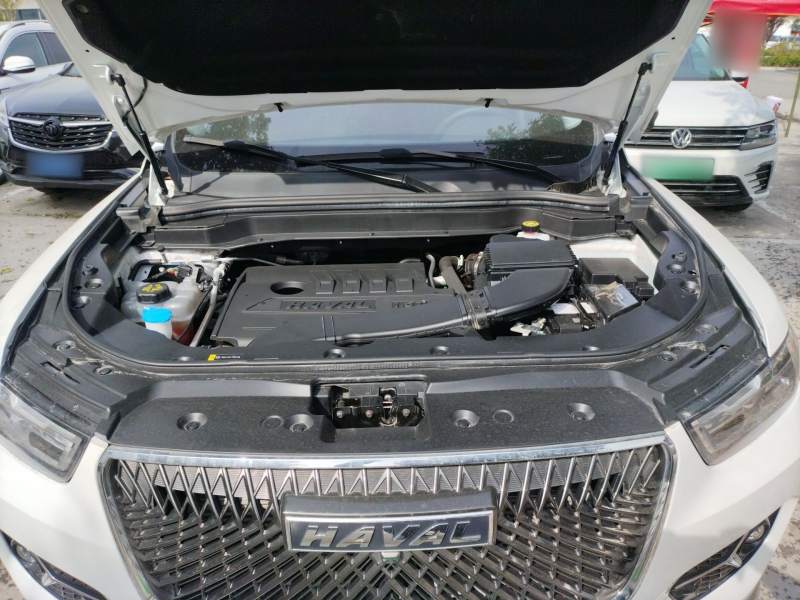 Used Haval H6 2021 1.5T Automatic Champion Edition — 19