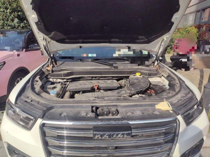 Used Haval H6 2020 1.5 GDIT Automatic Platinum Luxury Edition — 10