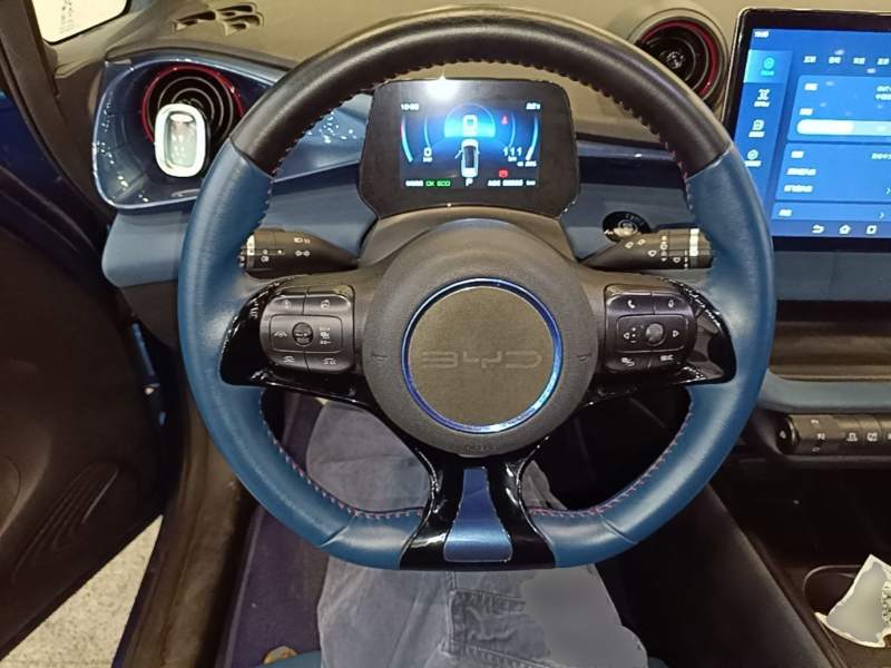 Used BYD Dolphin 2021 401km Knight Edition — 10