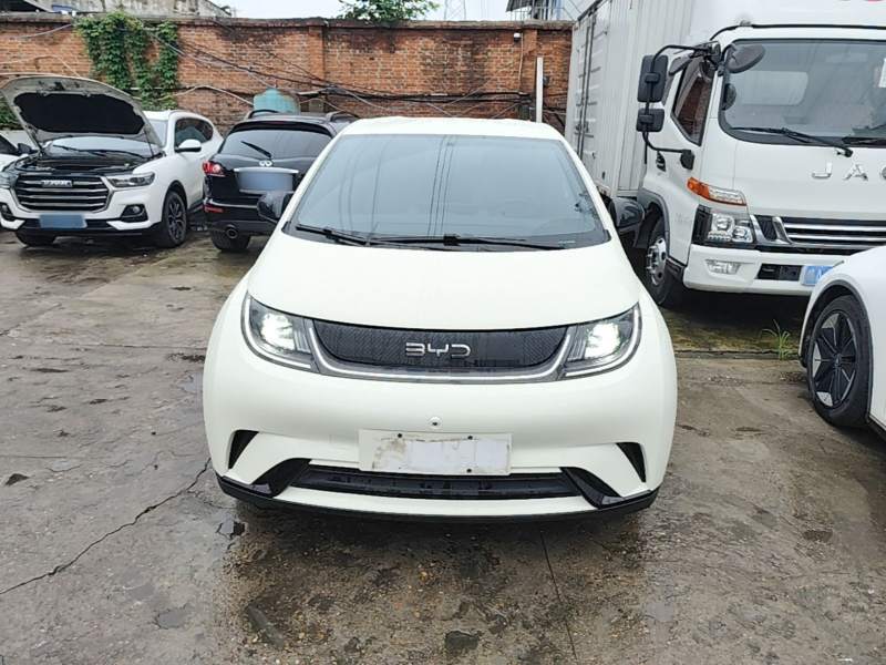 Used BYD Dolphin 2025 420km Free Edition — 2