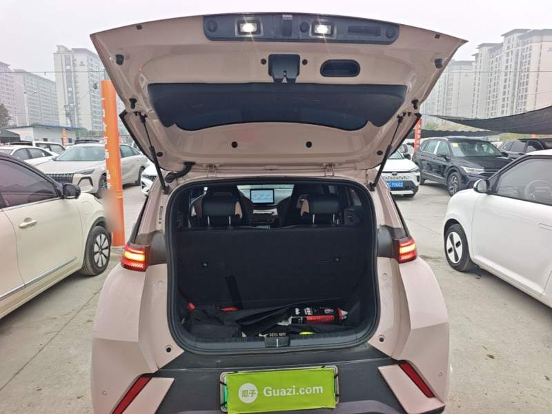 Used BYD Seagull 2023 Active Version — 18