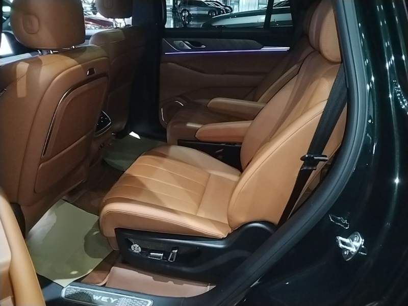 Used Wey Lanshan 2023 Four-Wheel Drive Ultra-Long Range Version — 16
