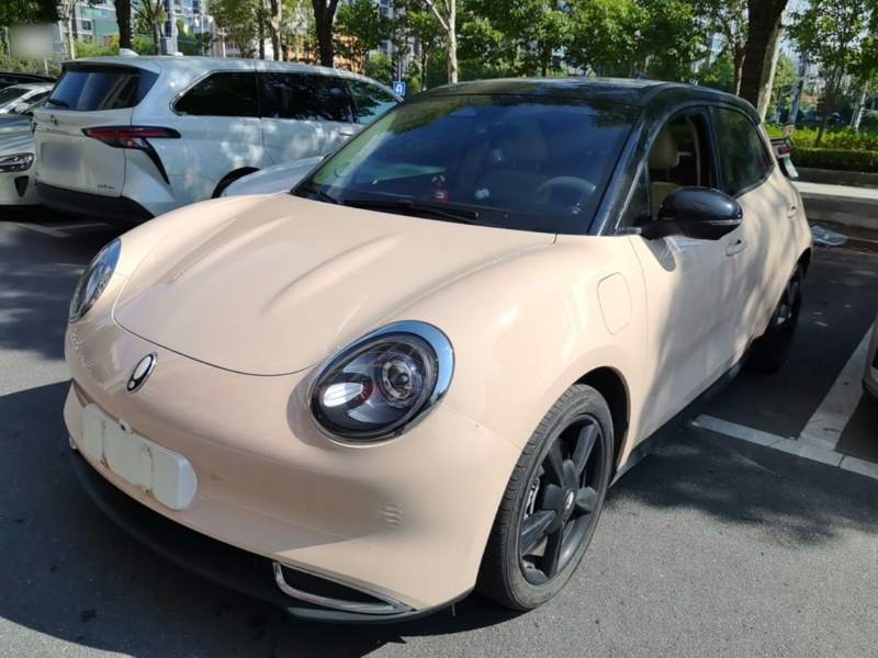 Used ORA Good Cat 2024 401 km Luxury Version