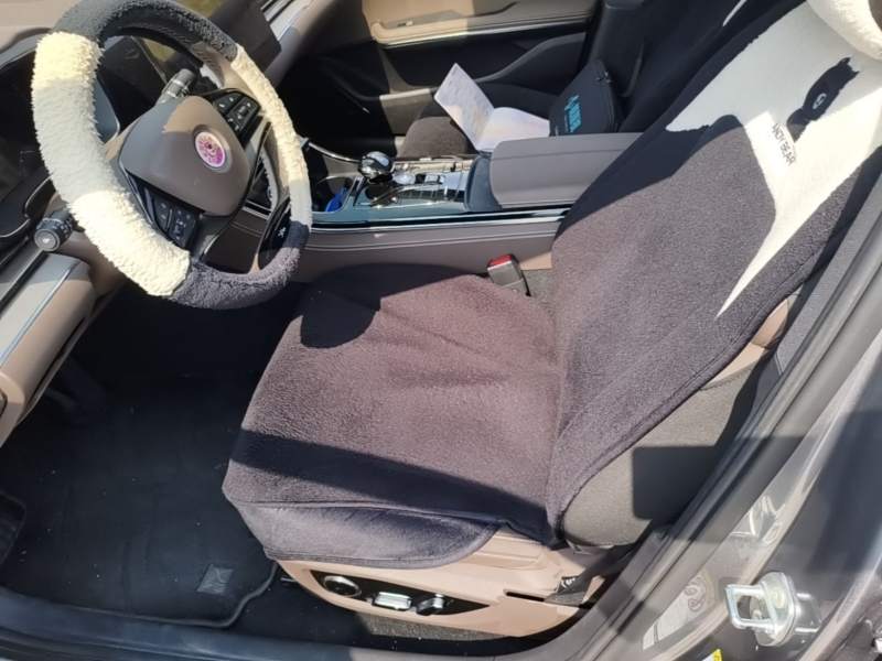 Used BYD Han 2020 DM Four-Wheel Drive Performance Edition Luxury Model — 14
