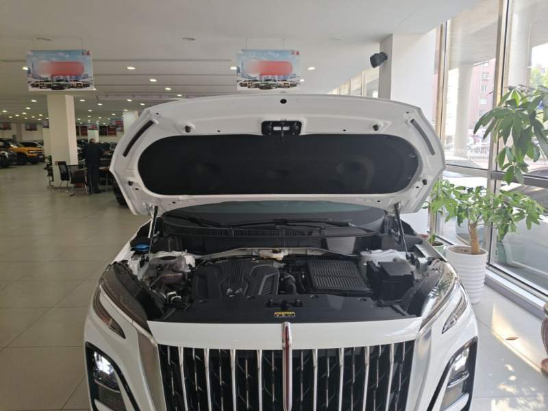 Used Hongqi HS3 PHEV 2024 PHEV 115km Jingwei Edition — 19