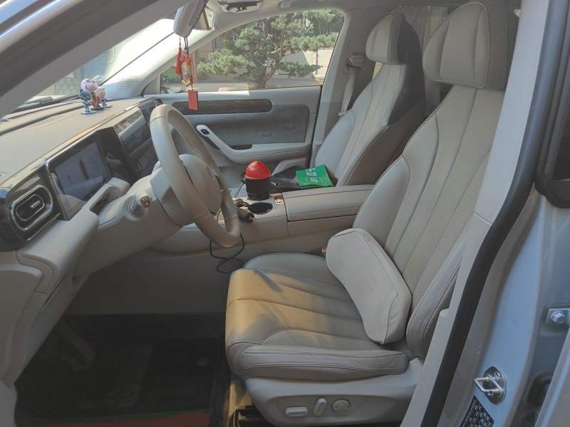 Used Leapmotor C11 2021 Revised Version Luxury Edition — 7