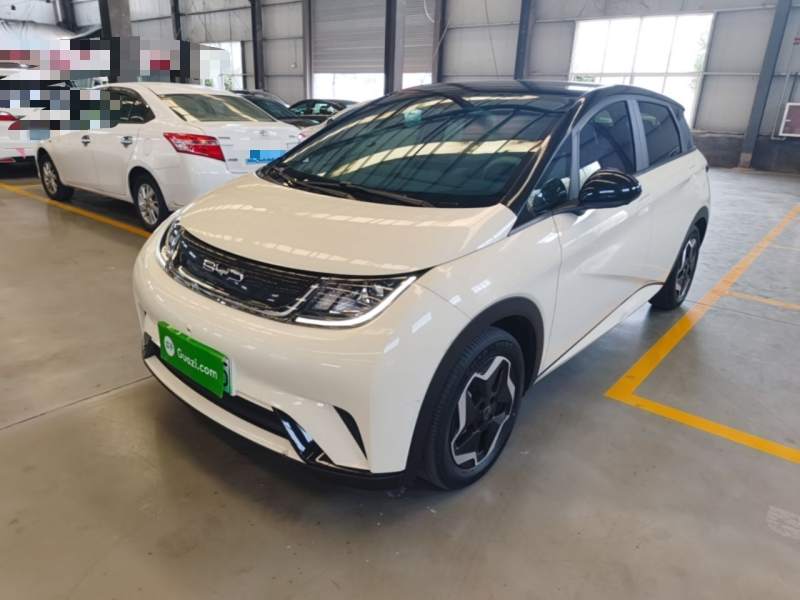 Used BYD Dolphin 2021 405 km Fashion Edition