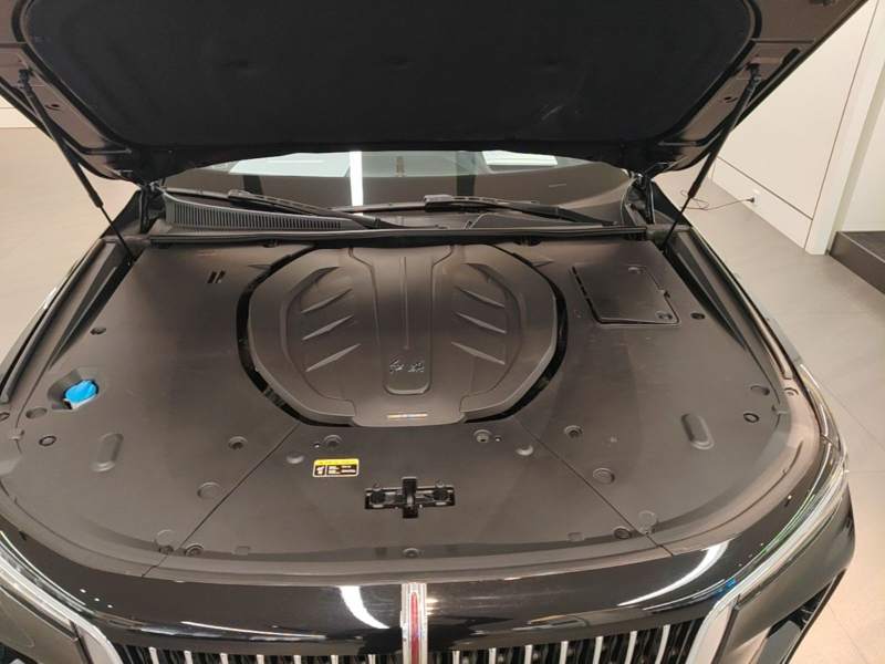 Used Hongqi H9 2021 2.5T Executive Version — 21