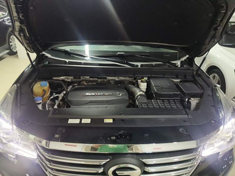 Used GAC Trumpchi GS8 2019 390T Two-Wheel Drive Luxury Smart Connectivity Version (7 Seats) — 19