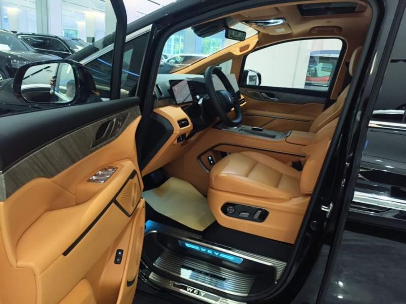 Used Wey Gaoshan 2025 Four-Wheel Drive Alpine 8 — 15