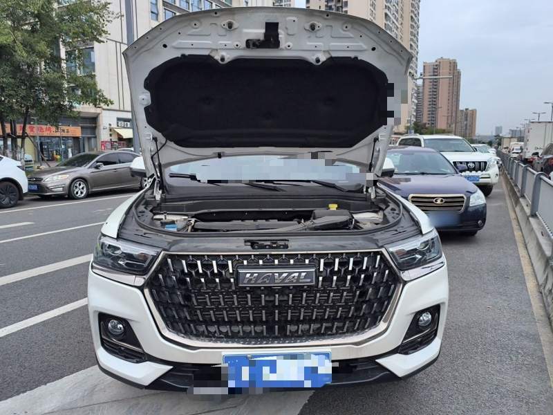 Used Haval H6 2023 National Trend Edition 1.5T Automatic Champion Version — 10