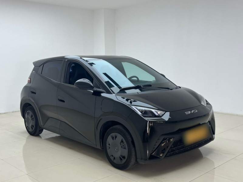 Used BYD Seagull 2024 Honor Edition 305km Dynamic Version — 29