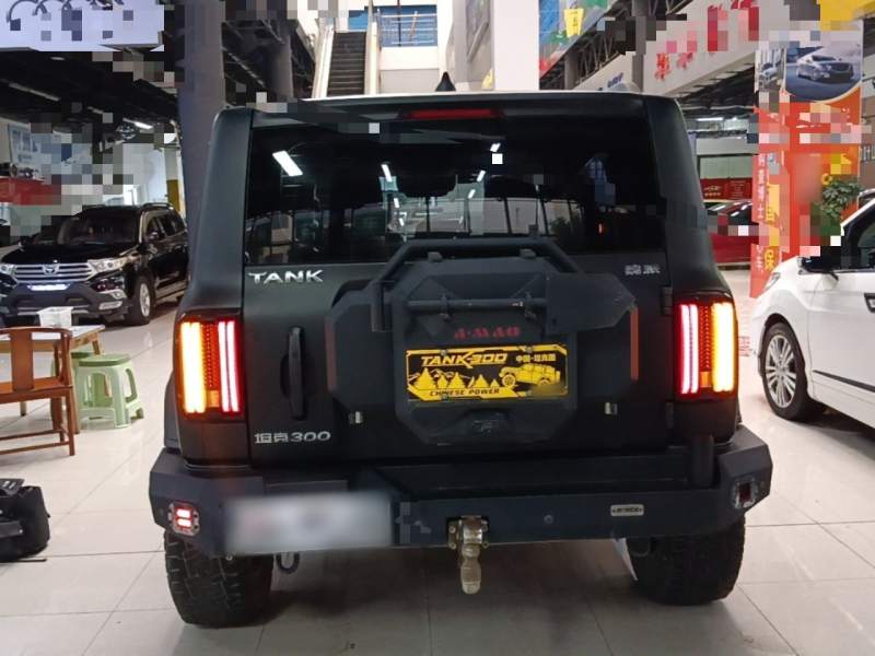Used Tank 300 2021 Off-Road Edition 2.0T Conqueror — 5