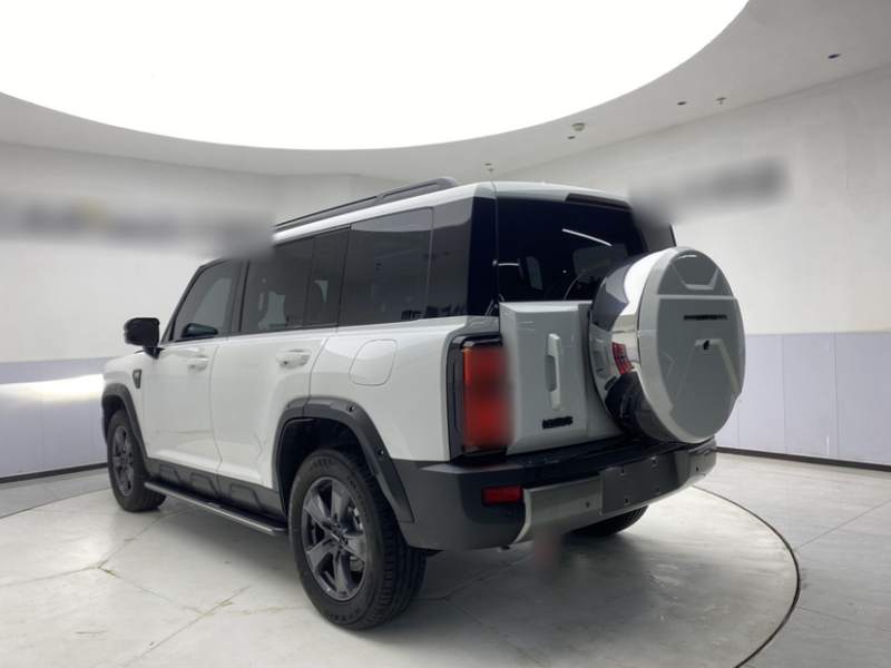 Used Haval Raptor 2025 2.0T 4WD Pro — 31
