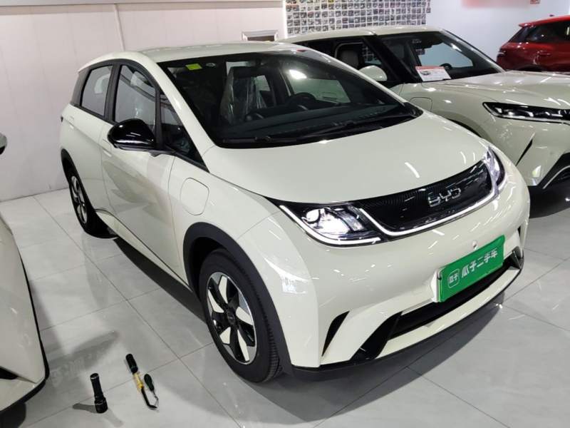 Used BYD Dolphin 2025 420km Free Edition — 3