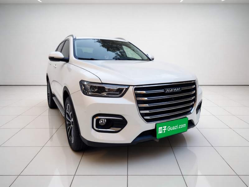 Used Haval H6 2020 2.0 GDIT Automatic Platinum Champion Edition — 12