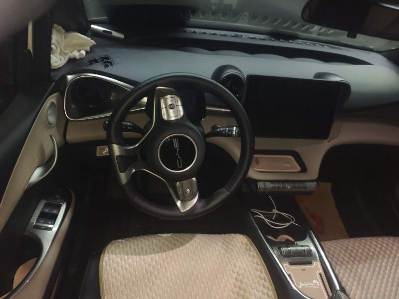 Used BYD Dolphin 2023 420 km Fashion Edition — 11