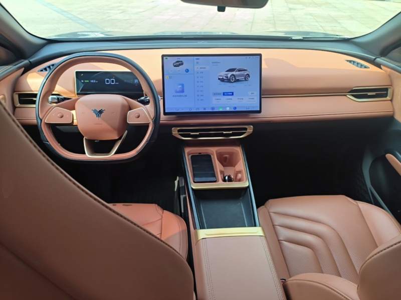 Used NETA X 2023 500 Lite — 9