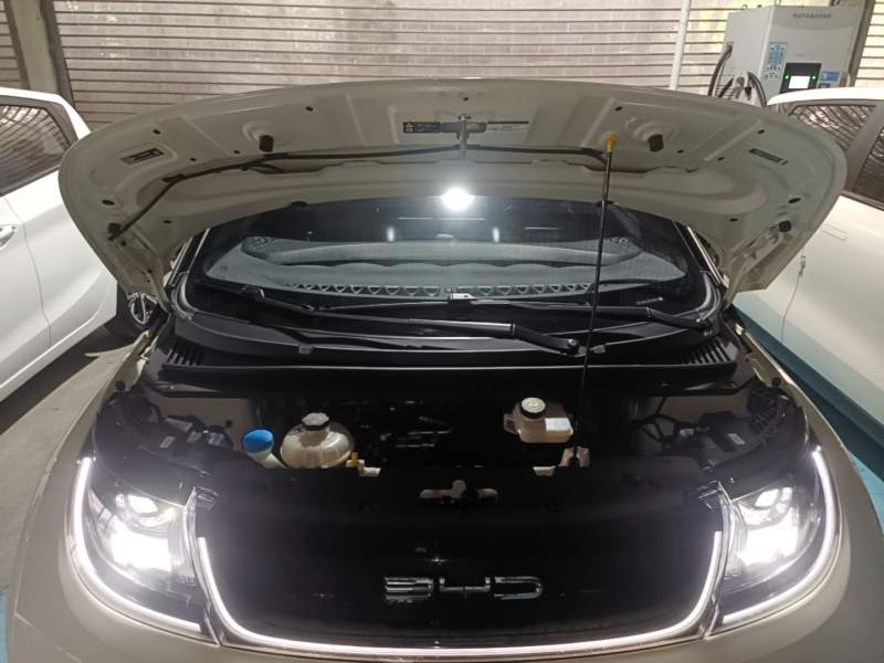 Used BYD Dolphin 2023 420 km Free Version — 19