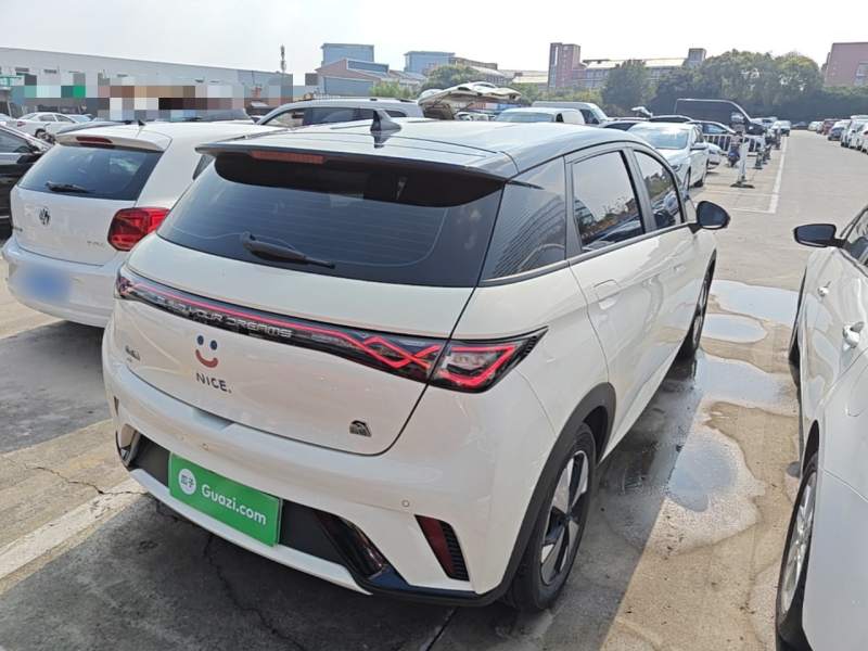 Used BYD Dolphin 2023 420 km Free Version — 6