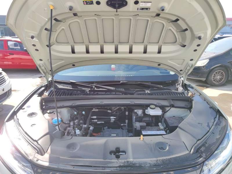 Used BYD Yuan UP 2024 301KM Leading Edition — 19