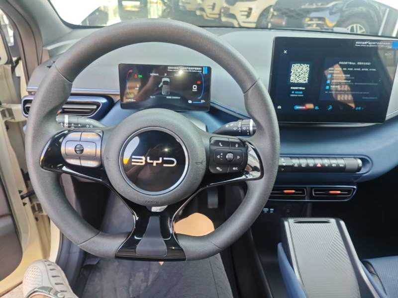 Used BYD Seagull 2025 305km Active Version — 10