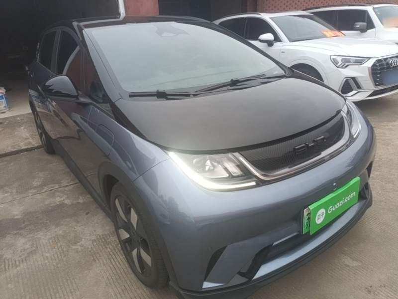 Used BYD Dolphin 2023 401km Knight Edition — 3