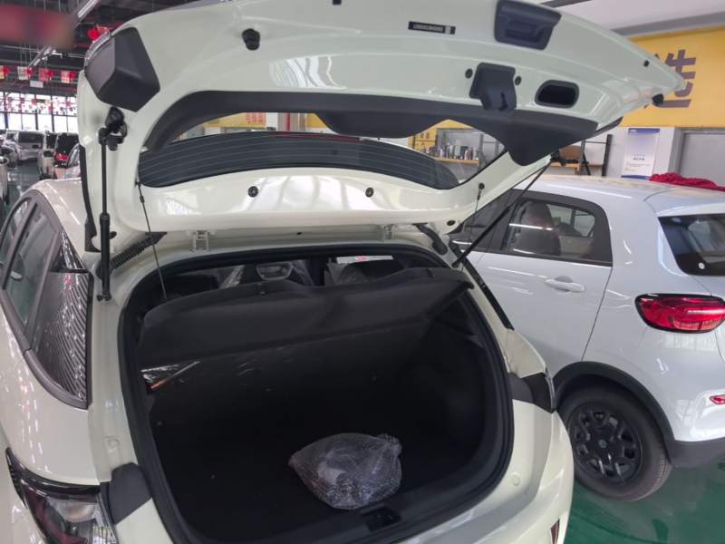 Used BYD Dolphin 2025 420km Free Edition — 18