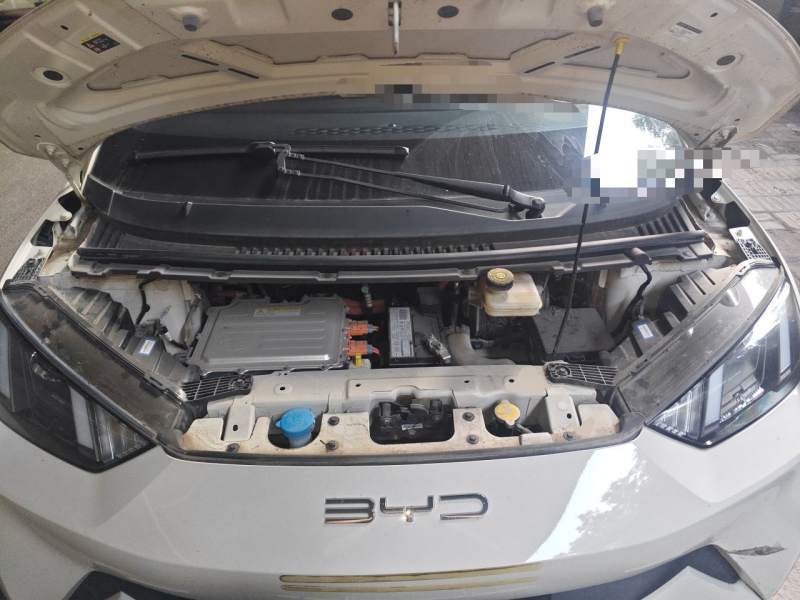 Used BYD Seagull 2023 Active Version — 16
