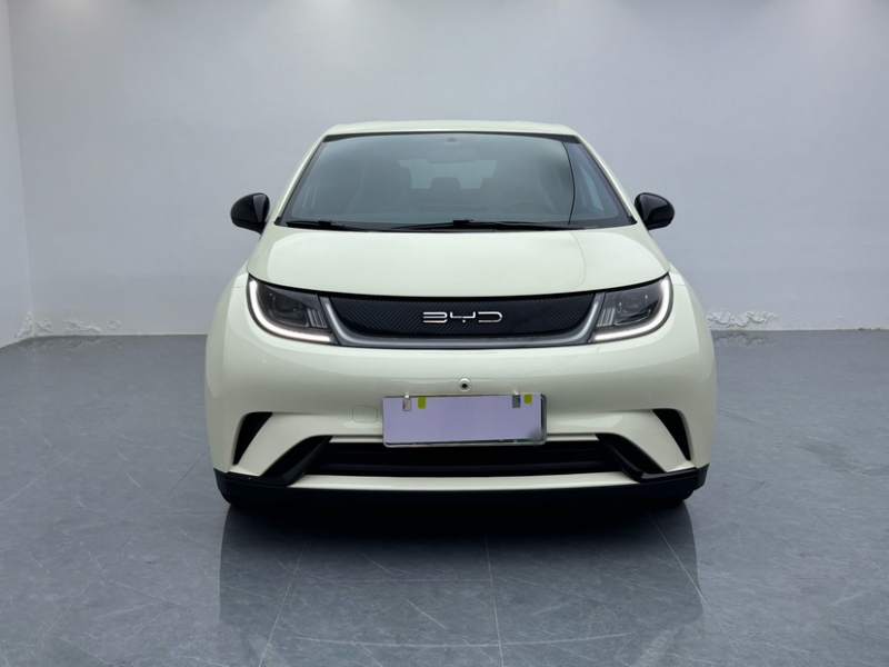 Used BYD Dolphin 2021 405 km Free Version — 30