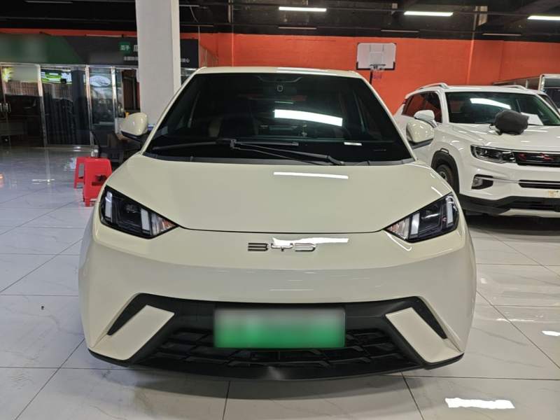 Used BYD Seagull 2024 Honor Edition 305km Freedom Version — 2