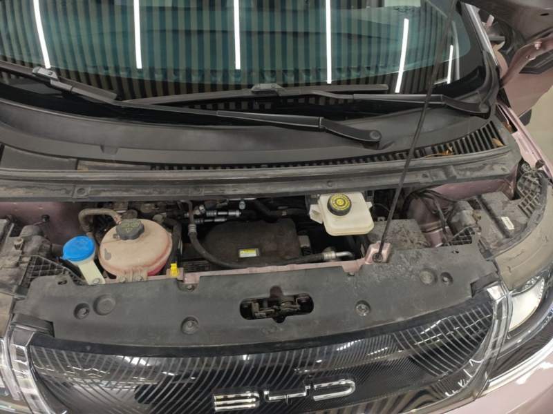 Used BYD Dolphin 2023 401km Knight Edition — 19