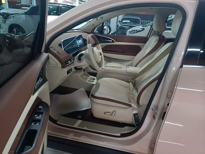 Used ORA Good Cat 2024 401 km Luxury Version — 11