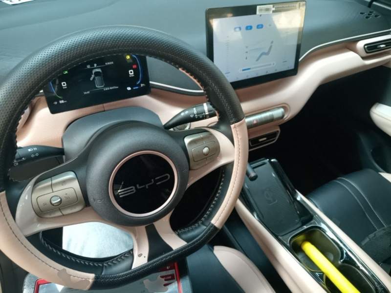 Used BYD Seagull 2023 Free Edition — 9