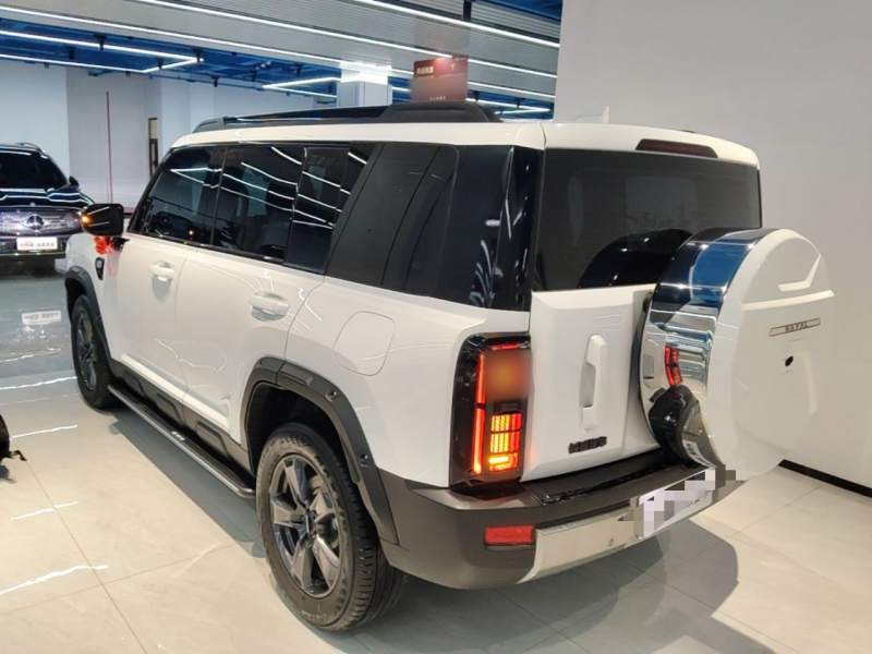 Used Haval Raptor 2025 2.0T 4WD Pro — 4