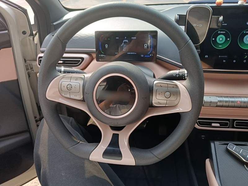 Used BYD Seagull 2024 Honor Edition 305km Dynamic Version — 10