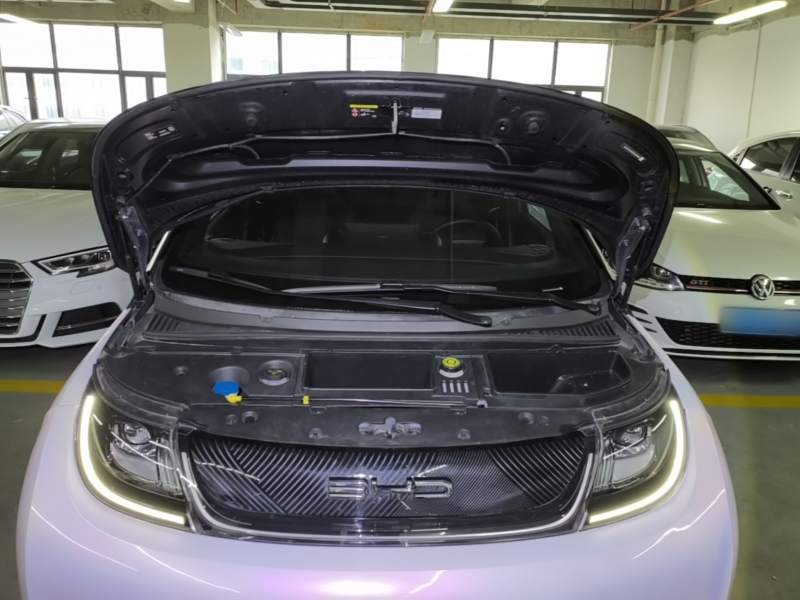 Used BYD Dolphin 2023 401km Knight Edition — 19