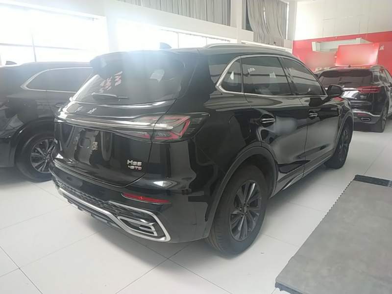 Used Hongqi HS5 2025 2.0T Two-Wheel Drive Flagship Pro Edition – Chinese Trim Xiang — 6