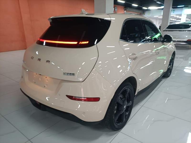 Used ORA Good Cat 2024 401 km Luxury Version — 4