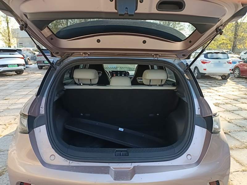 Used BYD Dolphin 2021 401km Knight Edition — 18
